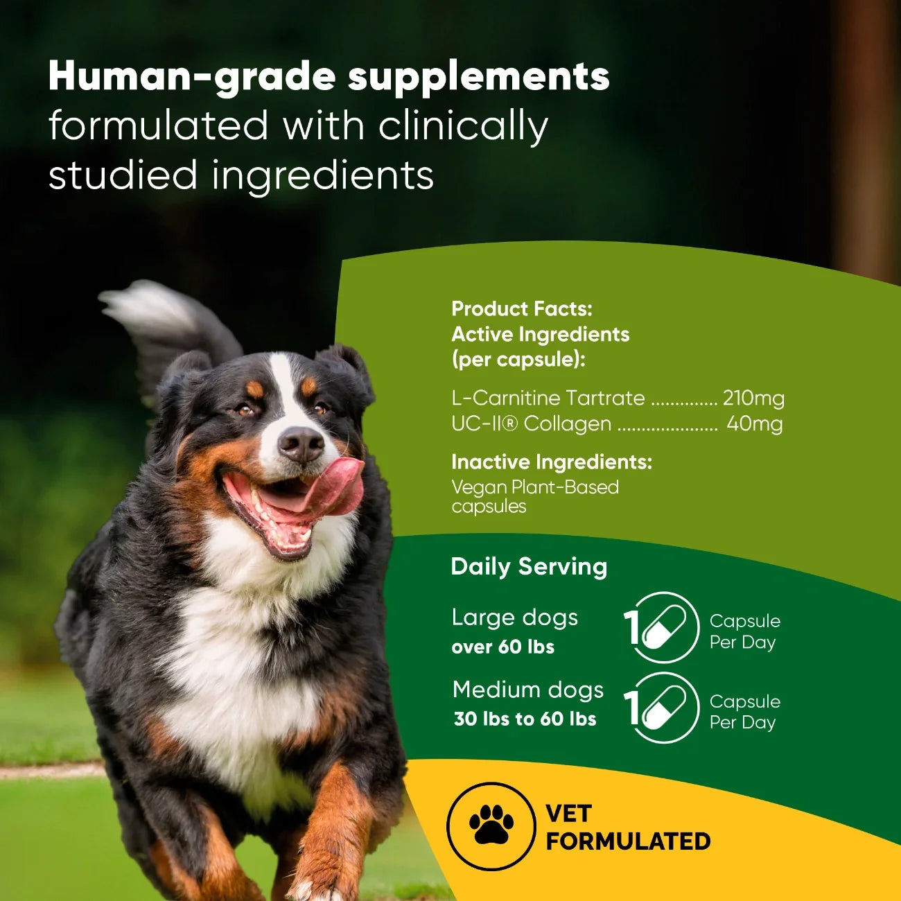 Joint Muscle Health Support Dietary Supplement