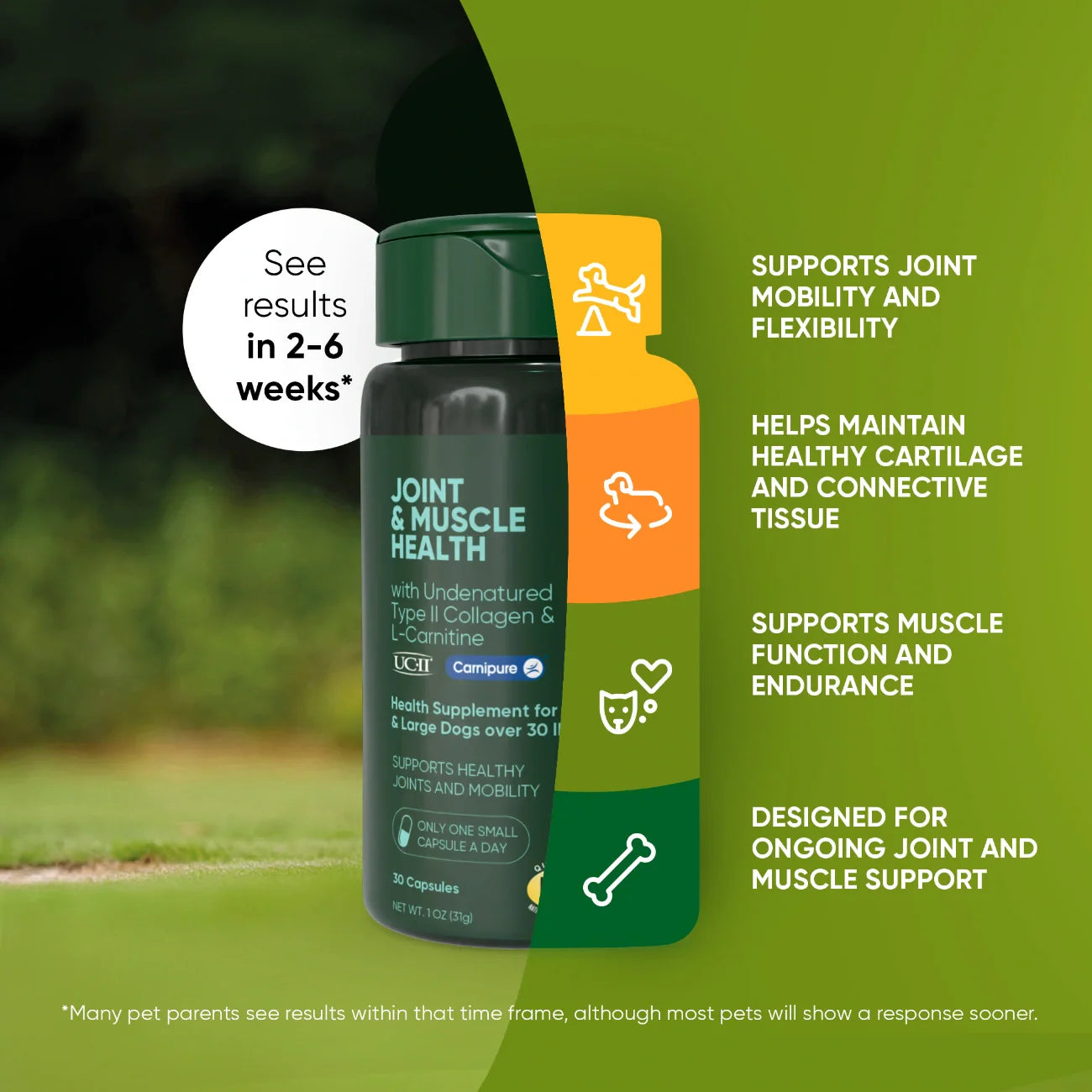 Joint Muscle Health Support Dietary Supplement