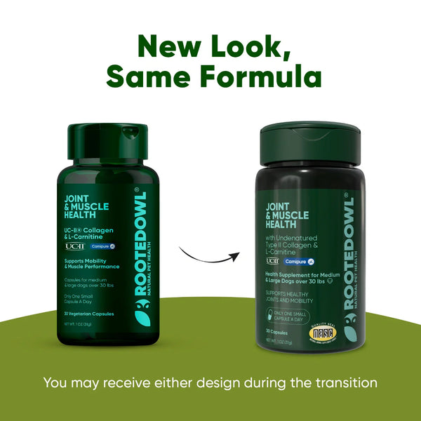 Joint Muscle Health Support Dietary Supplement