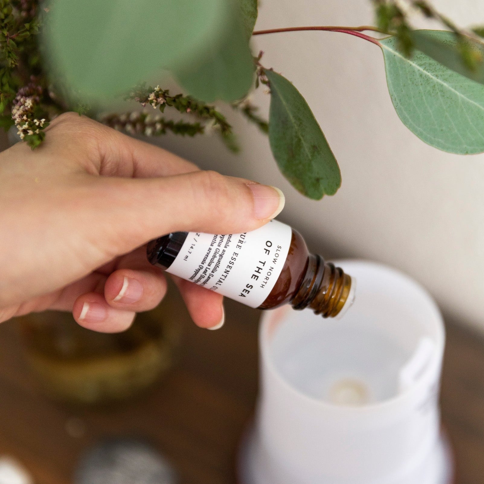 Essential Oil Diffuser Blends Aromatherapy Fragrance Collection